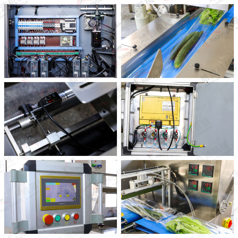 HY600S蔬菜包裝機機械細節(jié)